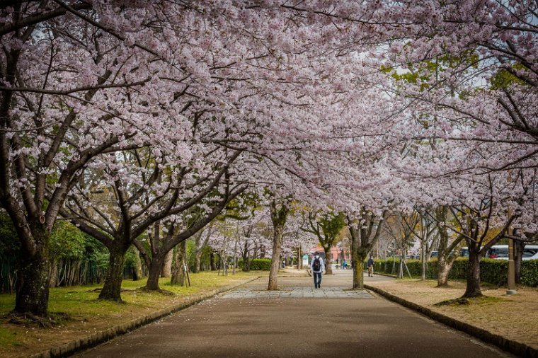 74 Himeji, kasteel.jpg